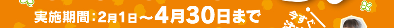 実施機関：2月1日～4月30日まで　ネットからだと35％引！