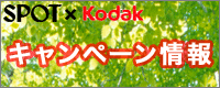 �X�|�b�g�L�����y�[�����